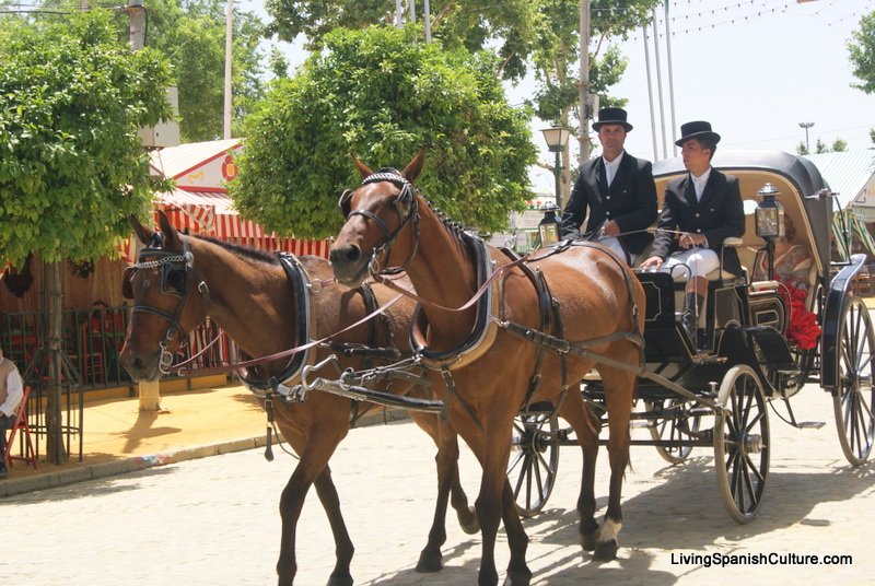 Feria de Sevilla,Spain,Espagne,carriages,voitures (5)