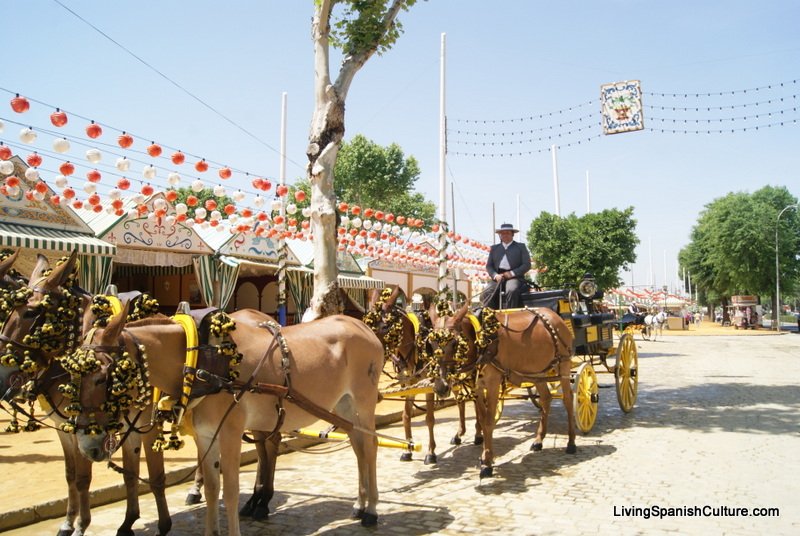 Feria de Sevilla,Spain,Espagne,carriages,voitures,