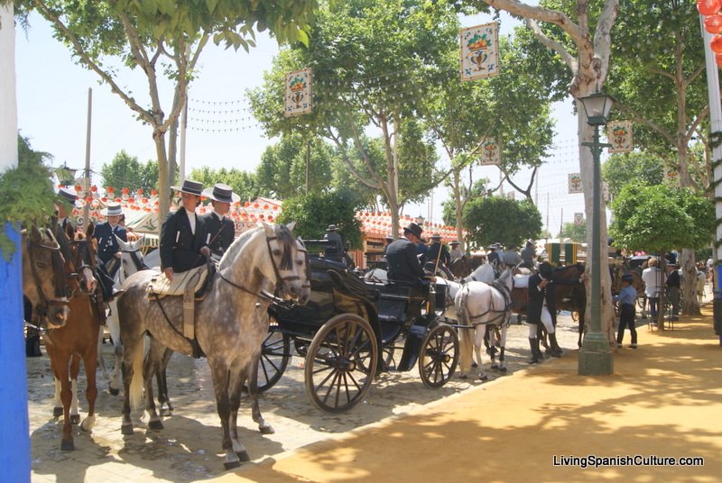Feria de Sevilla,Spain,Espagne,horseman,cavalier (9)