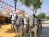 Feria de Sevilla,Spain,Espagne,horseman,cavalier (5)