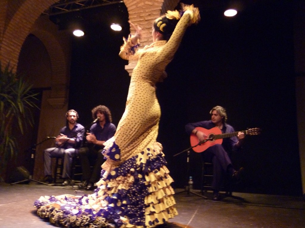 Bailaora de Flamenco