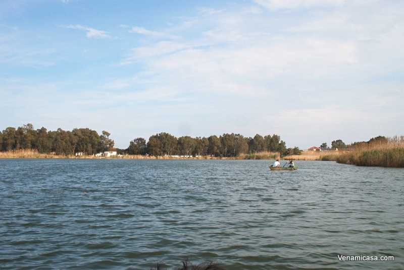 la-albufera-1