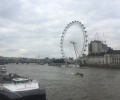 English abroad-London (10)