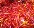 Saffron from La Mancha-The red gold