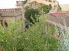 South face of the castle, Xativa, Valencia