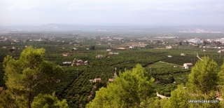 carcaixent-valencia-orange-groves-1