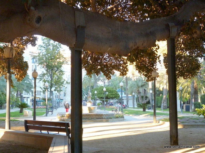 Alicante, cultural programs,homestay (6)