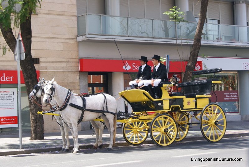 Feria de Sevilla,Spain,Espagne,carriages,voitures-