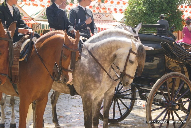 Feria de Sevilla,Spain,Espagne,horseman,cavalier (1)