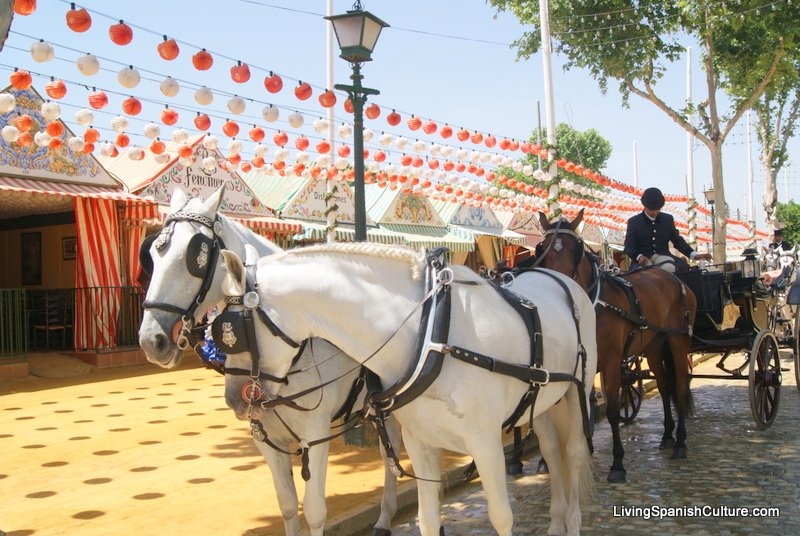 Feria de Sevilla,Spain,Espagne,horseman,cavalier (4)