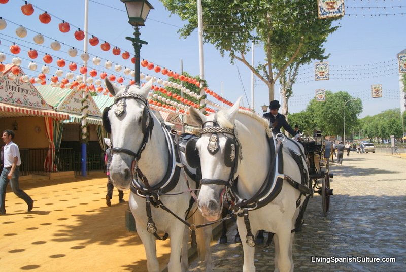 Feria de Sevilla,Spain,Espagne,horseman,cavalier (5)
