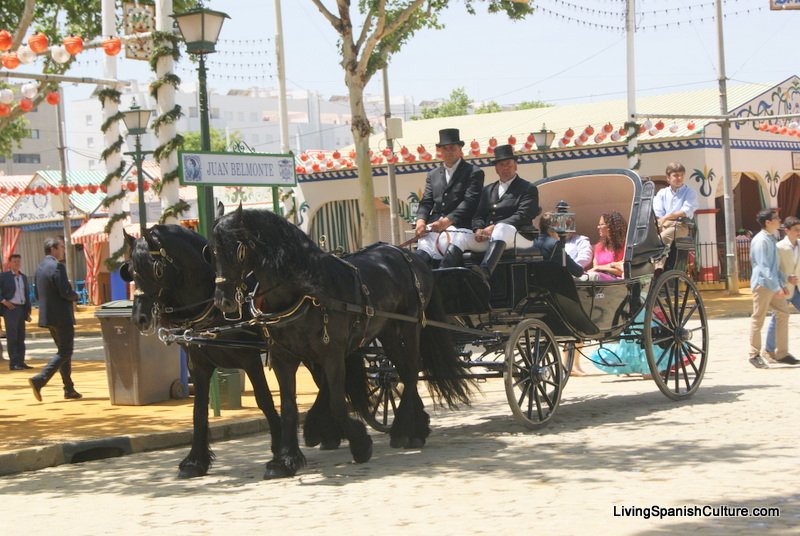 Feria de Sevilla,Spain,Espagne,percheron horses (1)