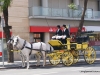 Feria de Sevilla,Spain,Espagne,carriages,voitures-