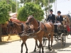 Feria de Sevilla,Spain,Espagne,carriages,voitures (5)