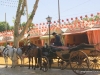 Feria de Sevilla,Spain,Espagne,carriages,voitures.