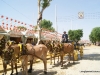 Feria de Sevilla,Spain,Espagne,carriages,voitures,