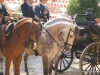 Feria de Sevilla,Spain,Espagne,horseman,cavalier (1)