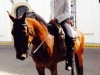 Feria de Sevilla,Spain,Espagne,horseman,cavalier (2)