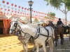 Feria de Sevilla,Spain,Espagne,horseman,cavalier (4)