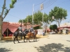 Feria de Sevilla,Spain,Espagne,horseman,cavalier (7)