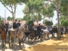 Feria de Sevilla,Spain,Espagne,horseman,cavalier (9)