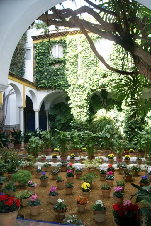 Patio de Sevilla