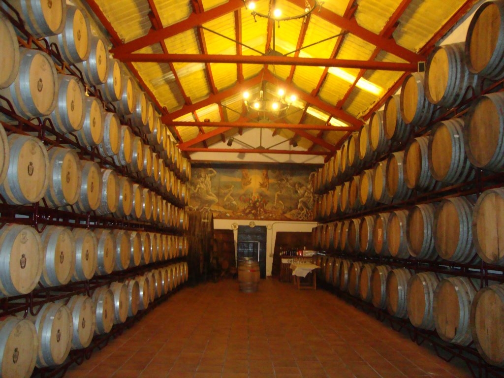 Baronia de Turis wine factory. Turis (Valencia)