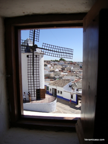 a-view-from-the-windmill-window