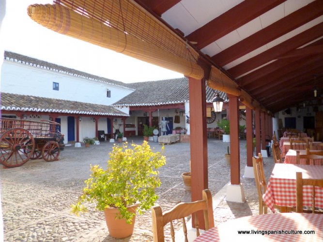 Venta El Quijote. Puerto Lapice, Ciudad Real (13)