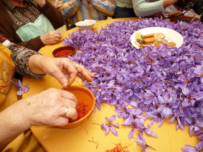 Pruning of Saffron