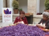 la-mancha-saffron-pruning