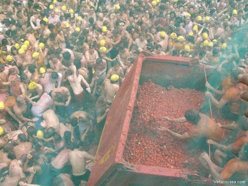 Tomato Festival