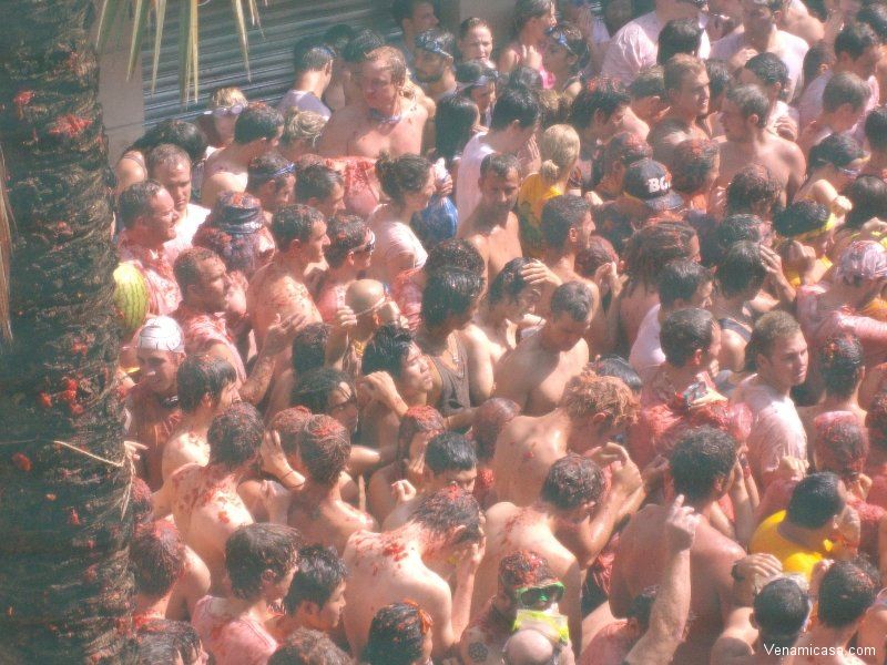 La Tomatina of Bunyol