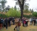 Sevilla,spain,educative tours (5)