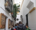 Sevilla,spain,educative tours (7)