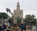 Torre del oro 2