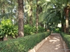 san-vicentes-orange-grove-and-gardens-2