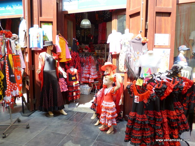 Valencia,Spain,cultural programs,homestay