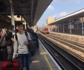 Volunteering in London (12)