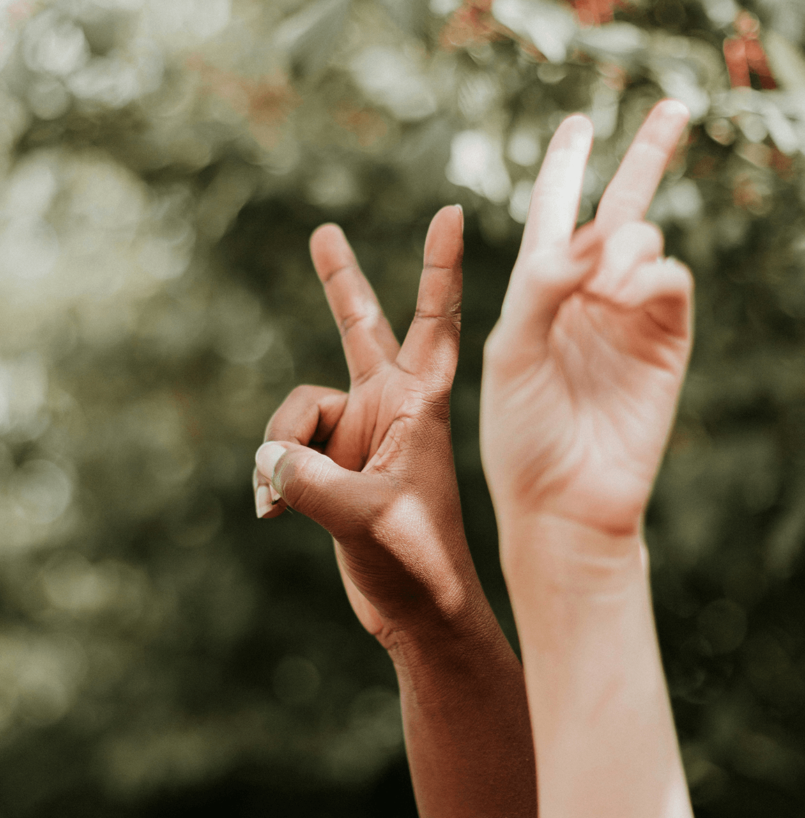 Hands Two