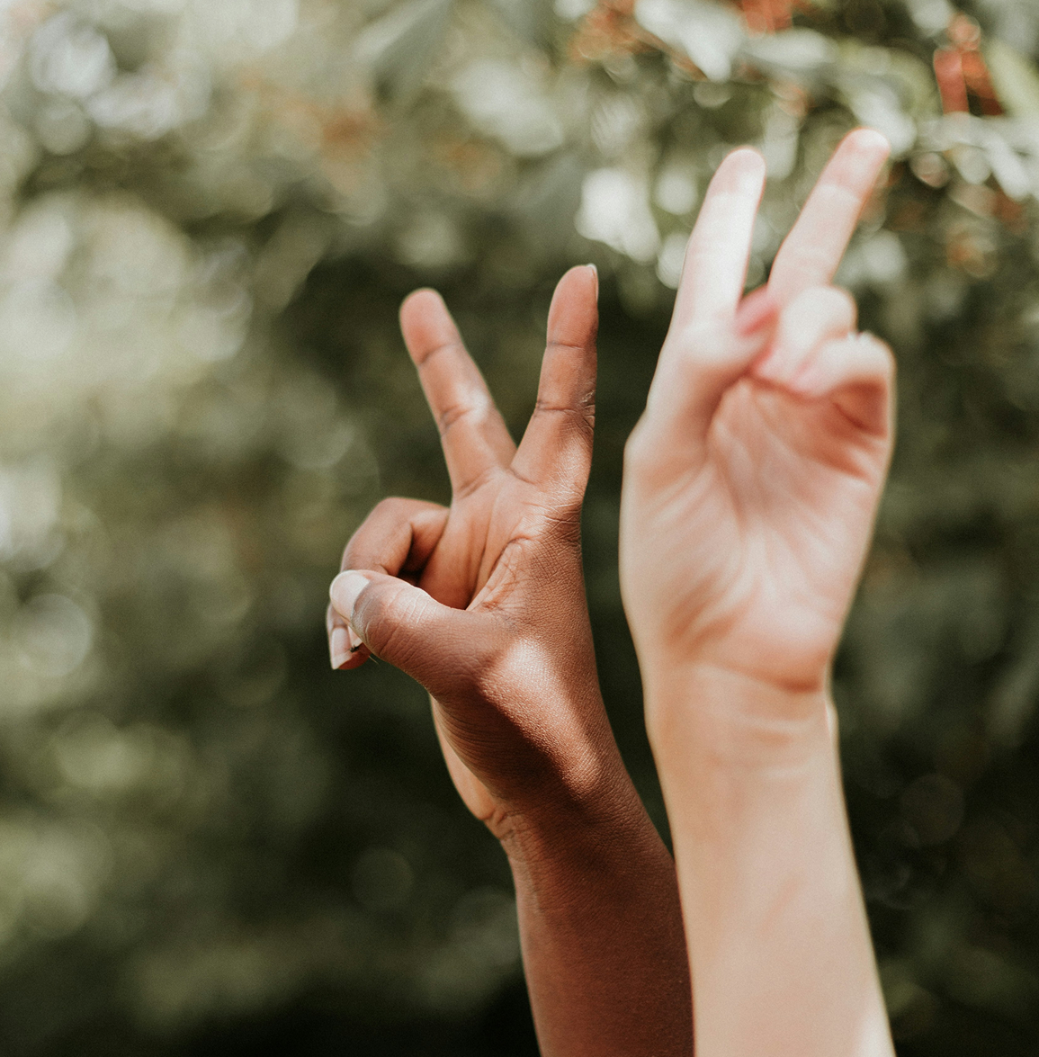 Hands Two