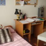 Homestay Madrid, Spain, Sofia,single