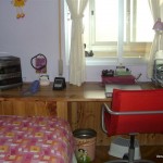 Homestay Madrid-carrildelconde (13)