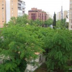 Homestay Madrid-carrildelconde (6)