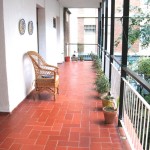 Homestay Sevilla,Spain,Vantigua,patio