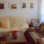 Homestay Madrid,Spain,dehesa, living