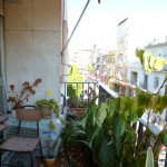 Homestay Sevilla,Spain,Vvalle,terrace