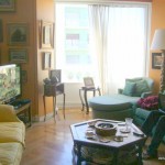 Homestay Madrid, Spain, Av.Felipe II,living1