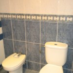 Homestay Madrid, Spain, Frodriguez,bath1.1