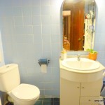 Homestay Valencia, Spain, P i Valero, bath 1